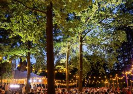 Bijzondere avonden tijdens Kampvuurconcerten