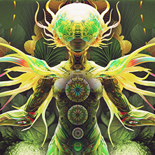 Trip Into Goa III