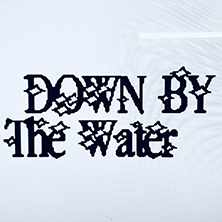 Down By The Water Festival
