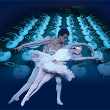 Het Grootste Zwanenmeer ter Wereld