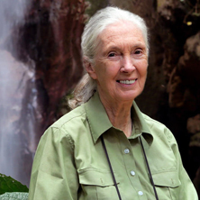 Het Jane Goodall Instituut