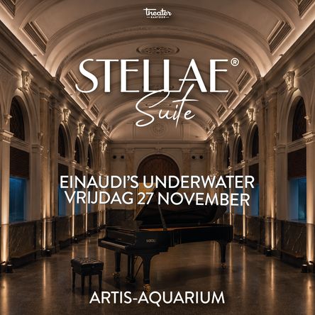 Einaudi's Underwater
