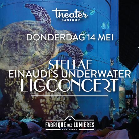 Einaudi's Underwater