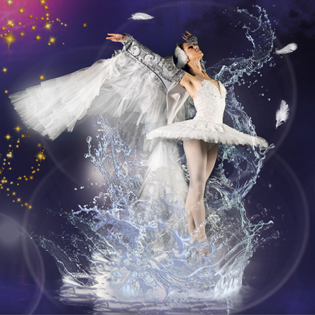 Het Zwanenmeer - Een romantische balletklassieker