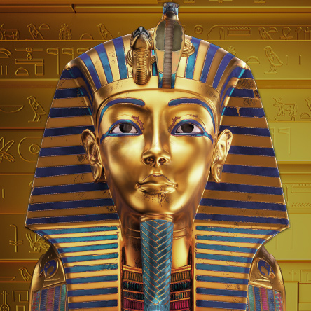 Tutankhamun: His tomb and his treasures