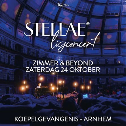 Zimmer & Beyond